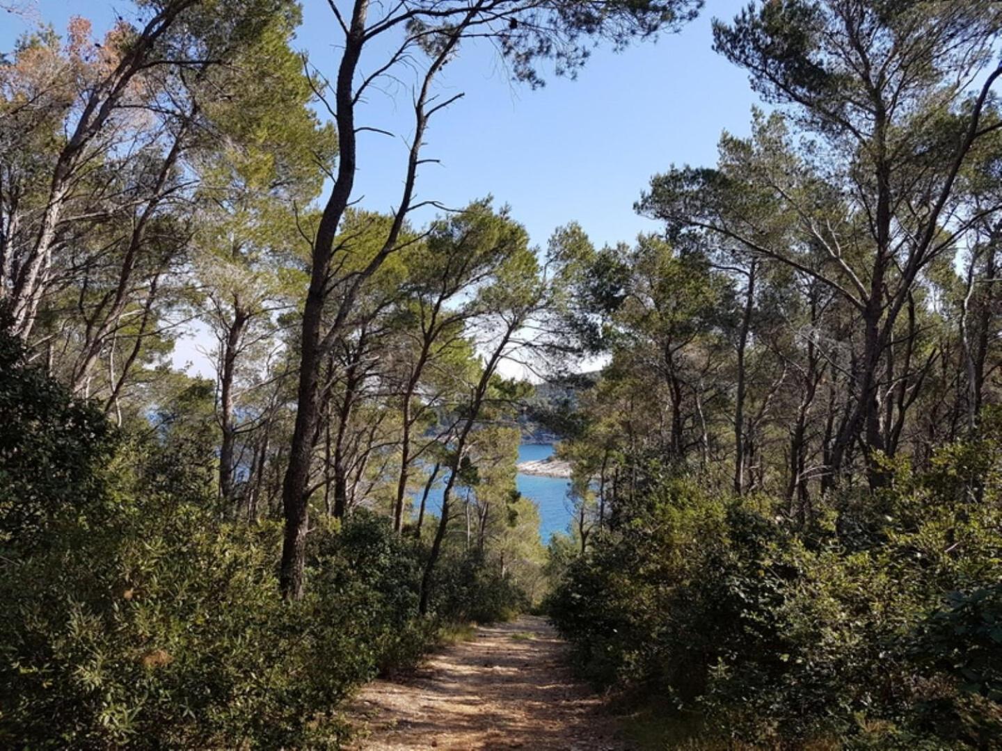 House Villa Bistrana Vela Luka Luaran gambar